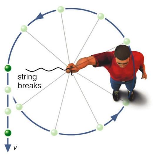 Circular Motion An object in circular motion may have a constant speed but