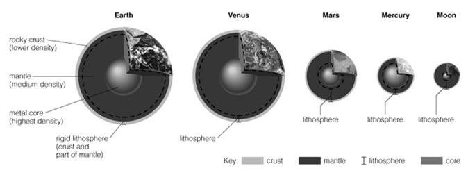 The Interiors of Other Terrestrial Planets The other terrestrial planets are similar They are made of rock and metal, too But why did the rock and metal separate?