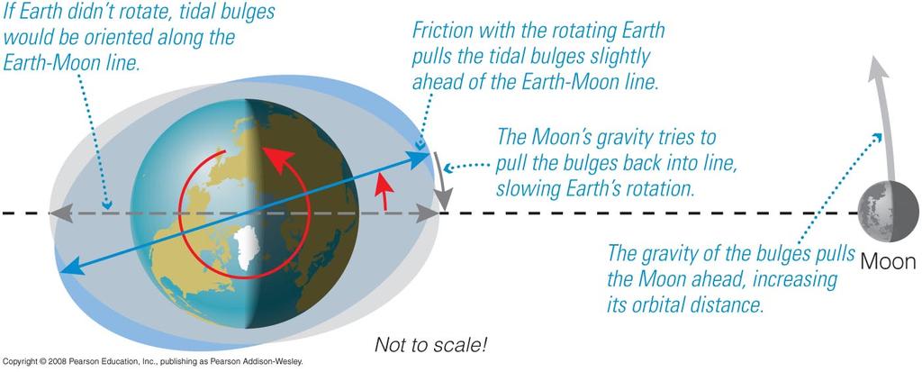 Tidal Force: long-term effects Tidal Force: long-term effects Earth Moon Axis of greatest tidal stress Rotation: the Moon s gravity tries to pull the tidal bulge back Result 1: the Earth s rotation