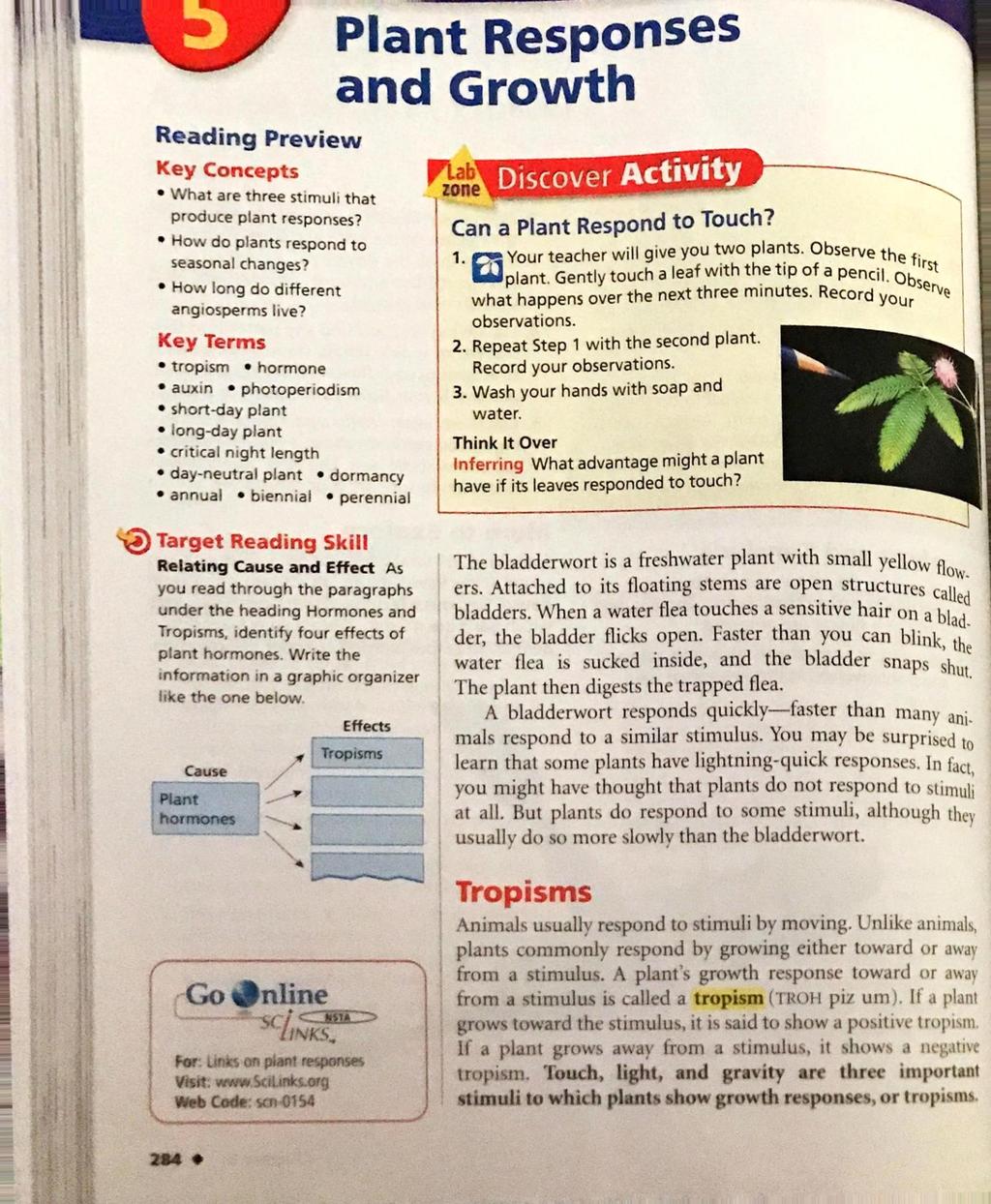 i Reading Preview What are three stimuli that produce plant responses? How do plants respond to seasonal changes? How long do different angiosperms live?