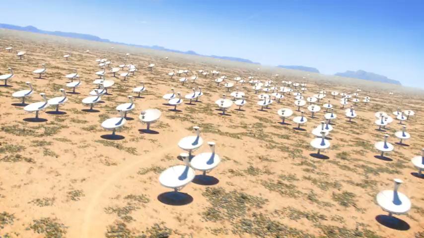 Aperture Array 2500 dishes