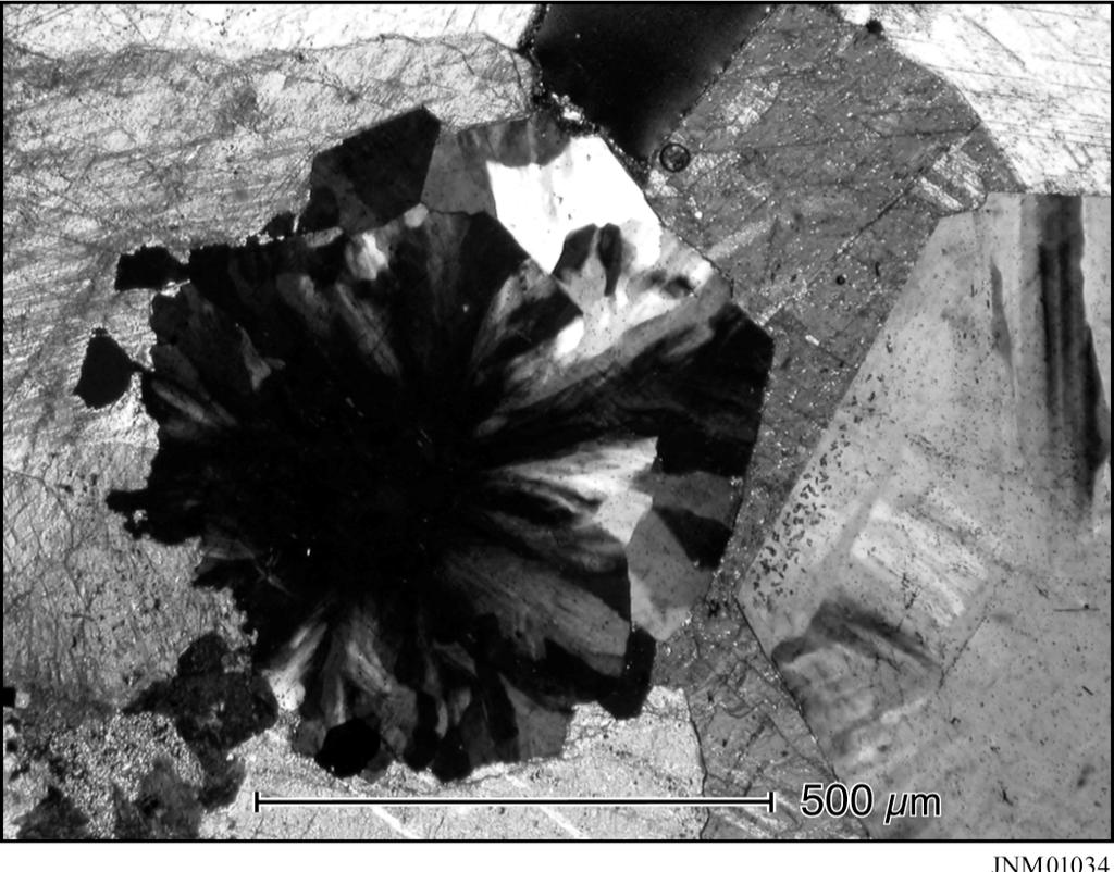 Fig. 4. Quartz with strongly corroded crystal faces from 1214.3 m in K-33. The complex extinction pattern suggests deposition from boiling fluids. The quartz is surrounded by later calcite.