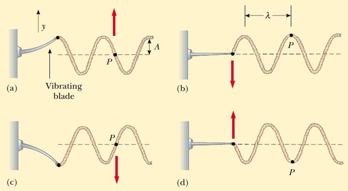 Sinusoidal Wave on Strings Each particle of the string, such