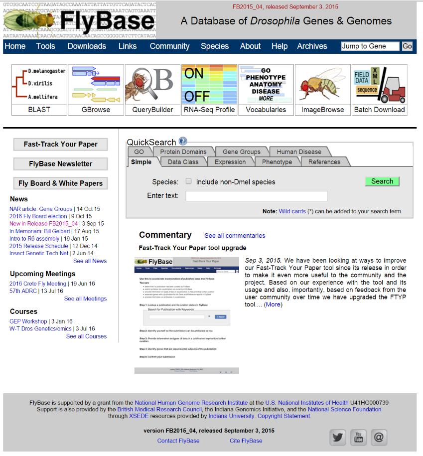 Exploring FlyBase (Part 2) FlyBase is an online biological database designed primarily for researchers studying the model genetic organism, Drosophila melanogaster, and related fruit fly species.