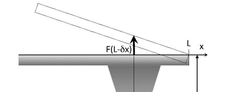 Figure S3. Scheme of the AFM tip in contact with the surface. The tilt angle between the cantilever and the surface is α.