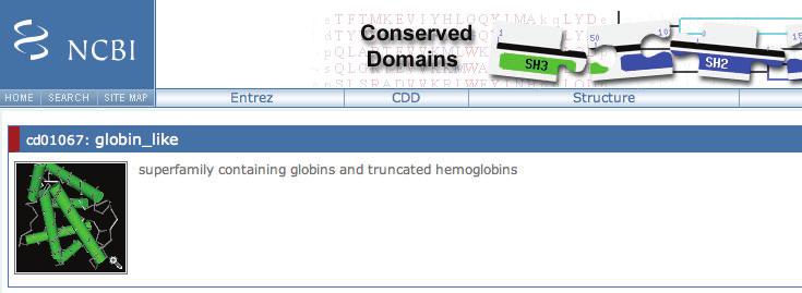 by hemoglobins: From Bacteria to Plants and Animals truncated globins sensor globins M.