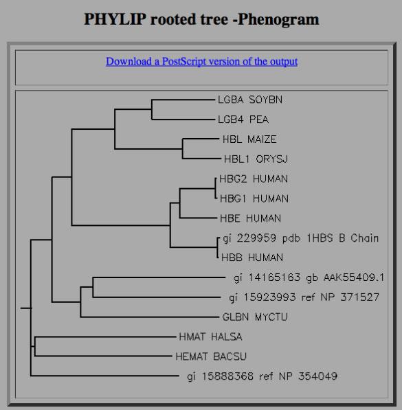 5. Creating a phylogenetic tree Select an alignment Scroll down Alignment Tools list to
