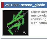 CD01068 sensor globins: Globin domain present in Globin-Coupled-Sensors (GCS).
