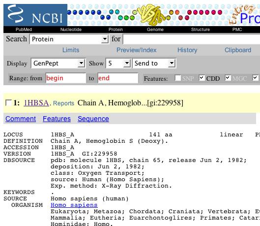 Irreversibly sickled cells Normal red blood cells with no deformations Exercise in Sequence Alignment: Our example is HbB vs. HbS Type the following web site into your browser: http://www.ncbi.nlm.