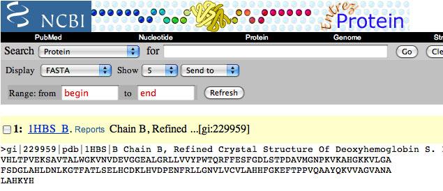 This will display the amino acid sequence for
