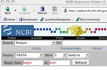 This should highlight the amino acid sequence in blue.