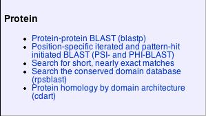 In the box of Protein options, click on the link entitled Protein-protein BLAST (blastp).