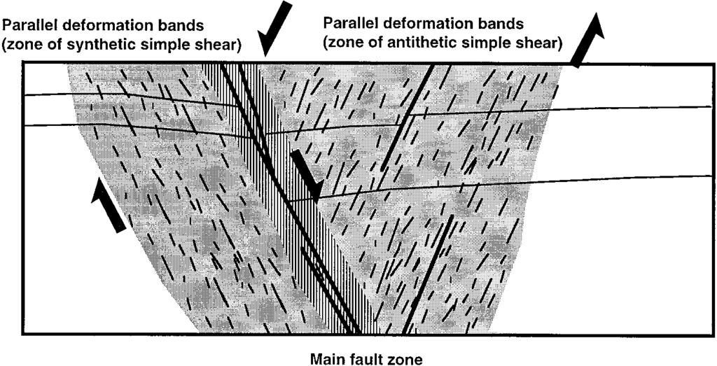 Growth fault zones, outcrop study 217 (a) (b) Fig. 6. (a) Schematic block diagram illustrating the type of deformation band and fault gouge geometries found around fault zones in the Miri Formation.