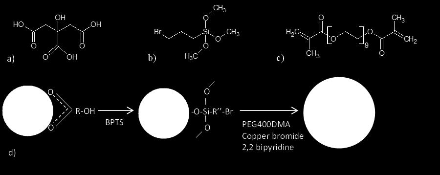 functionalization: (a) citric acid (CA), (b) 3-bromopropyl