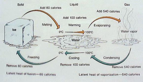 Water Vapor Pressure Molecules in an air parcel all contribute to pressure Each subset of molecules (e.g.