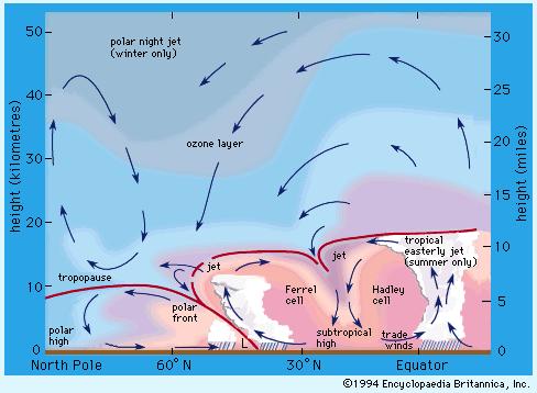 Circumpolar Vortex Is a Normal Part of the General Circulation Low level cold dense air sinks (long polar nights) creating surface high pressure and low pressure aloft (cyclonic flow).