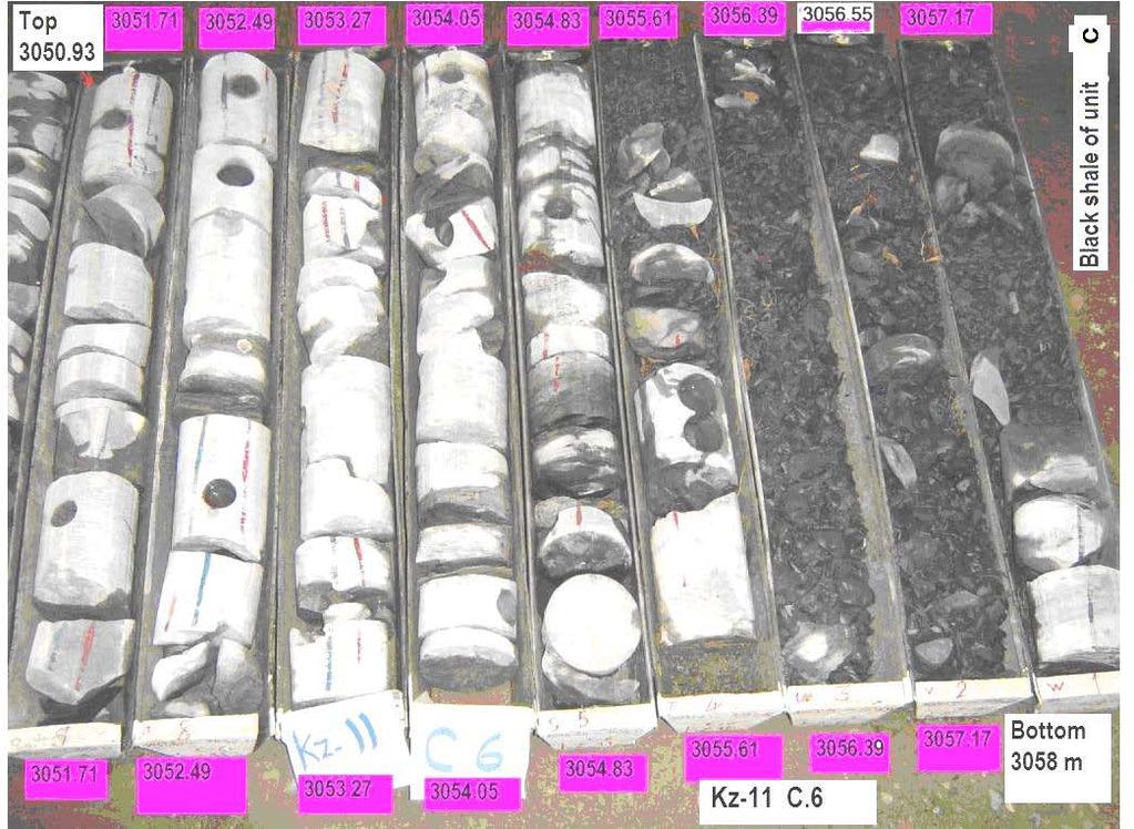 Chapter Two Stratigraphy and Sedimentology Figure 2.7: Core photograph of Upper Qamchuqa Formation from well Kz-11 (core No.