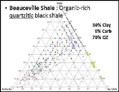 organic-rich shale Dry