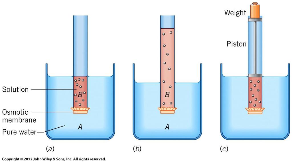 Osmosis and Osmotic Pressure A. Initially, Soln B separated from pure water, A, by osmotic membrane. No osmosis occurred yet B.