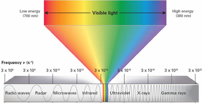 frequency (ν) (Hz)(s 1 ) λ and ν are inversely proportional All light waves move at the same speed, so which color has more