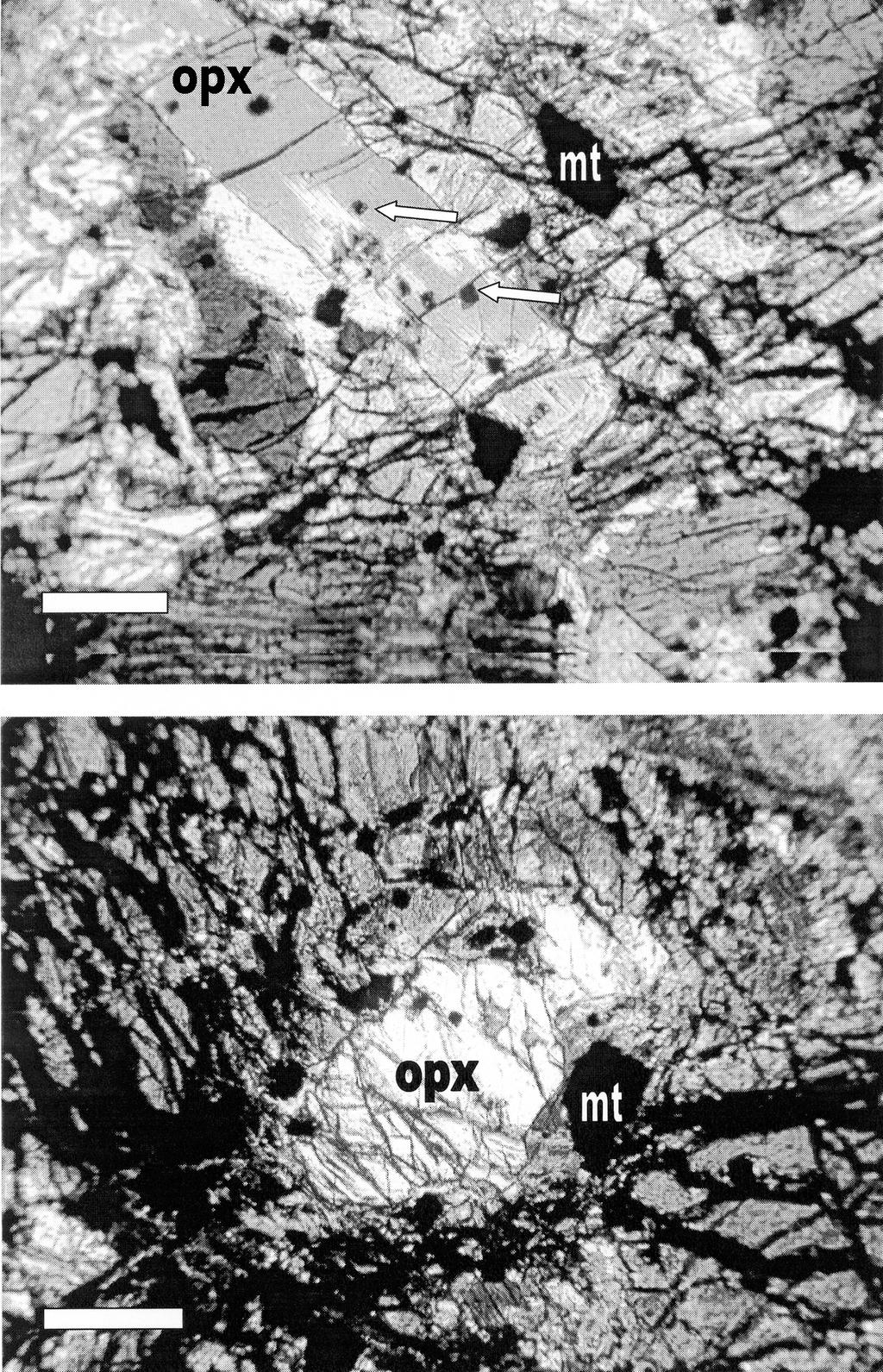VISCOUS MUSHES IN THE JINCHUAN ULTRAMAFIC INTRUSION, CHINA 377 FIG. 5. Early cumulus orthopyroxene crystals (opx) enclosed in cumulus olivine. Arrows mark small crystals of chromian spinel.
