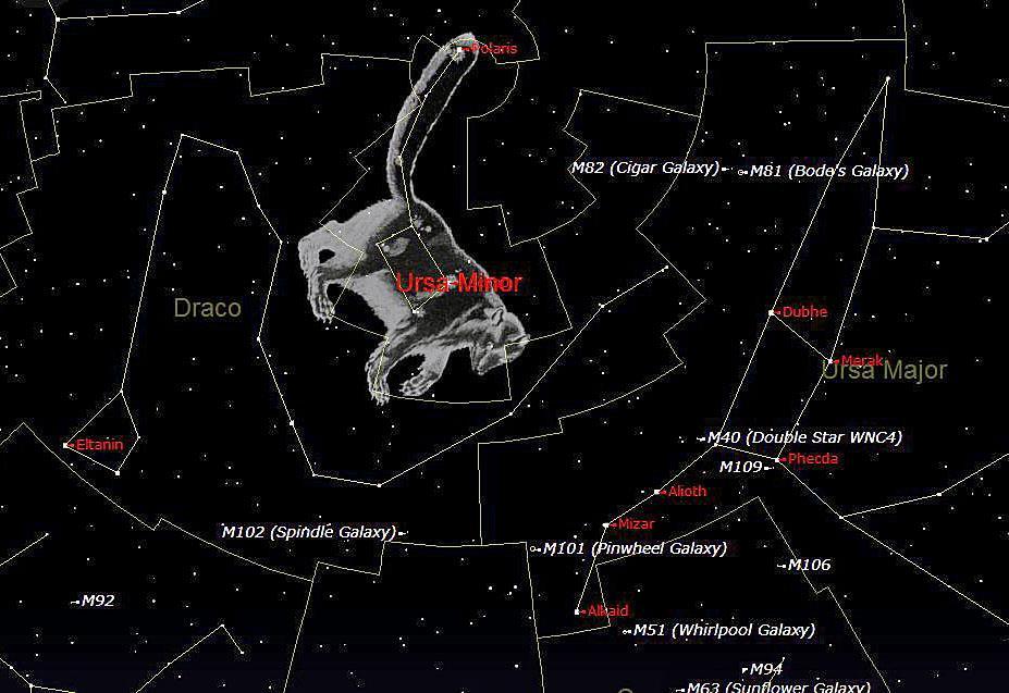 All these constellations close to Polaris are circumpolar. This means that they are in our sky all night and all year.