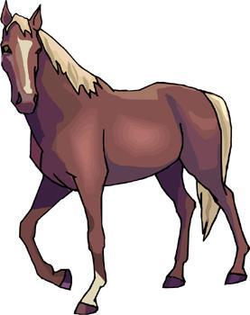 PUEBLO Horse