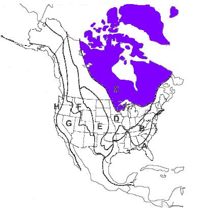 CANADIAN SHIELD Location: wraps around the Hudson Bay in a horseshoe shape Characteristics: worn by