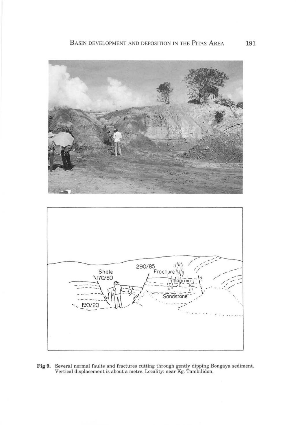 BASIN DEV ELOPMENT AND DEPOSITION TN THE PITAS AREA 191 ". - -.. - -.. ~ - Fig 9.