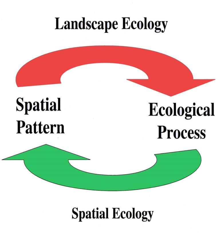 QUESTION Please explain how spatial analysis is literally used in landscape conservation. I didn t understand how it related to the practice.
