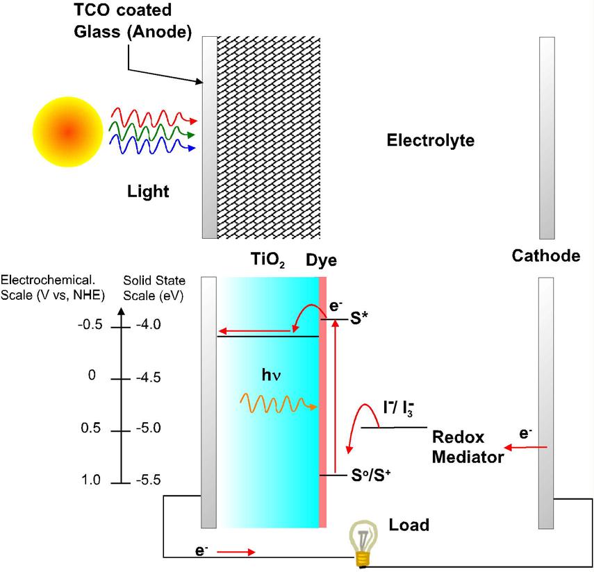 Dye Sensitized Solar Cells Nanocrystalline, mesoporous TiO 2