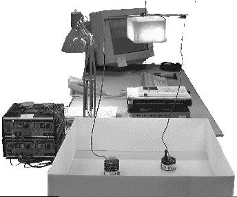 MIT Press Math6X9/1999/10/20:14:54 Page 6 6 Dario Floreano, Stefano Nolfi, and Francesco Mondada arena.ps 85 71 mm Figure 1.3 Setup to run co-evolutionary experiments on the physical robots.