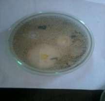4.6.2 Anti-Fungal Activity Anti -fungal activity of the given extract were performed by using cup plate method, Against a test organism Aspergillus niger.