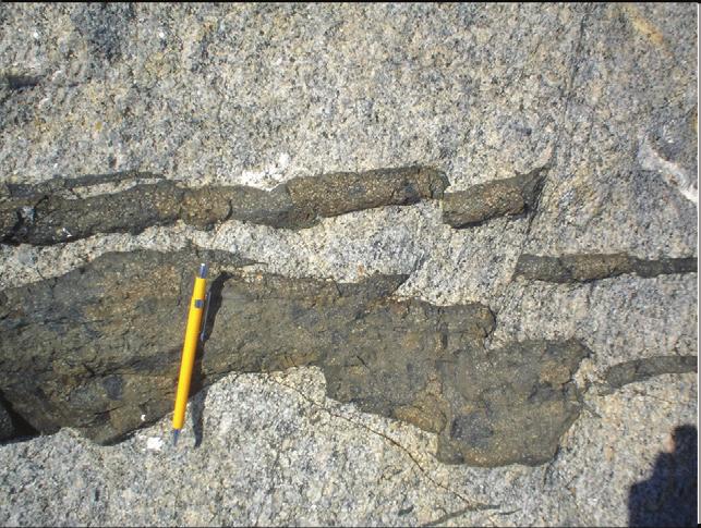 (Sb blue line); (C) Paleoproterozoic granitic orthogneiss intruded by mafic tholeiitic
