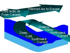 Climate and ocean circulation Formation of