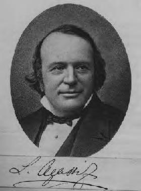 Louis Agassiz Swiss-American geologist Louis Agassiz (1807-1873) generally given credit for theory of the Ice Ages.
