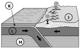 Question #15 Examine the diagram that shows the collision of two tectonic plates with J, K, L, and M labeled. Which description most accurately describes the nature of layers J and K?