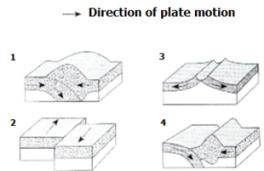 Question #21 Use the diagram showing cross sections representing crustal movements to answer the question. Which cross section represents the crustal plate motion at the Mid-Atlantic Ridge?