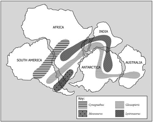 Question #8 The graphic shows the distribution of fossils of four different organisms (Cynognathus, Mesosaurus, Glossopteris, and Lystrosaurus ) spread across different landmasses.