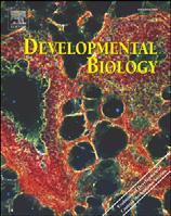 Developmental Biology 346 (2010) 258 271 Contents lists available at ScienceDirect Developmental Biology journal homepage: www.elsevier.