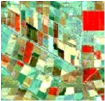 Potential and limitations of remote sensing for cadastre and land management