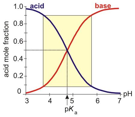 7.2-13. Buffer Range A buffer functions well when the addition of large amounts of acid or base result in only small ph changes.