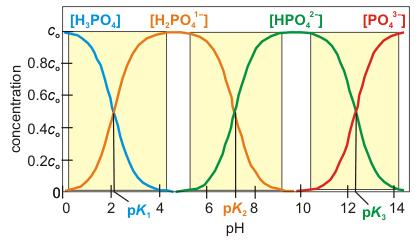 Triprotic Acid: The example of a triprotic acid, H 3 PO 4, is considered in the following exercise. Even though there are four concentrations to determine, no more than two are appreciable at any ph.