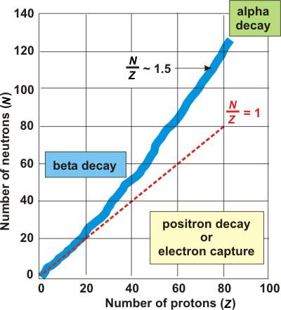Nuclear Decay 11.2-4. Trends in Nuclear Stability Nuclear forces are not understood well enough to allow us to predict whether a nucleus is stable or not.