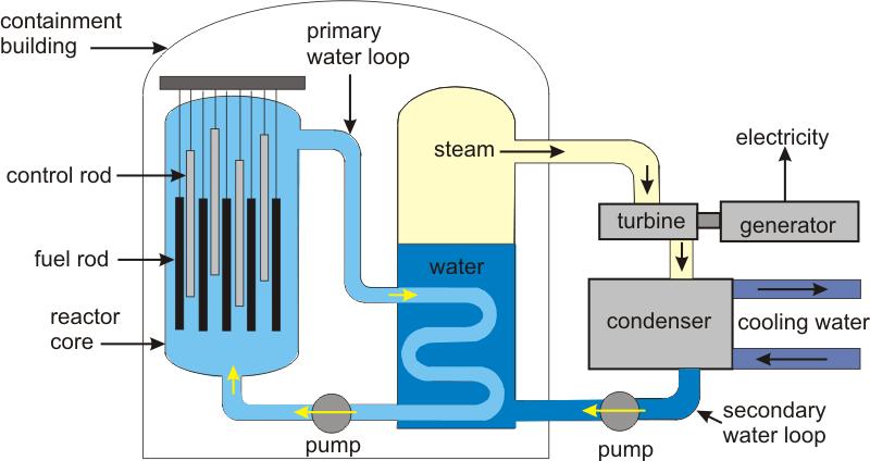 a steam generator. The escaping steam in a secondary water loop drives a turbine connected to a generator.