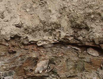 The subsoil is mainly greywacke formation of claystone siltstone sandstone alterations known as