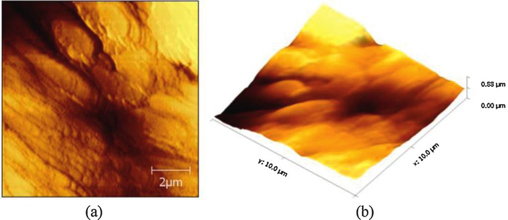 [(Fig._10)TD$FIG] K. Kesavan et al. / Chinese Chemical Letters 25 (2014) 1428 1434 1433 Fig. 10. The topography image of the EC based complex, (a) 2D image and (b) 3D image.