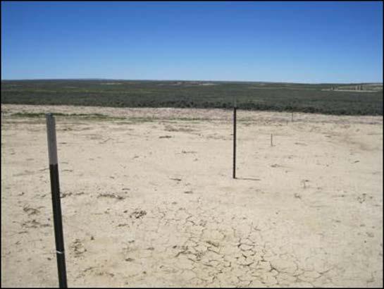 Loss of A horizon reduces already slim chances for germination & establishment Lifeless: little SOM to support microbial activity and nutrient cycling; Finer: inhibits water infiltration and