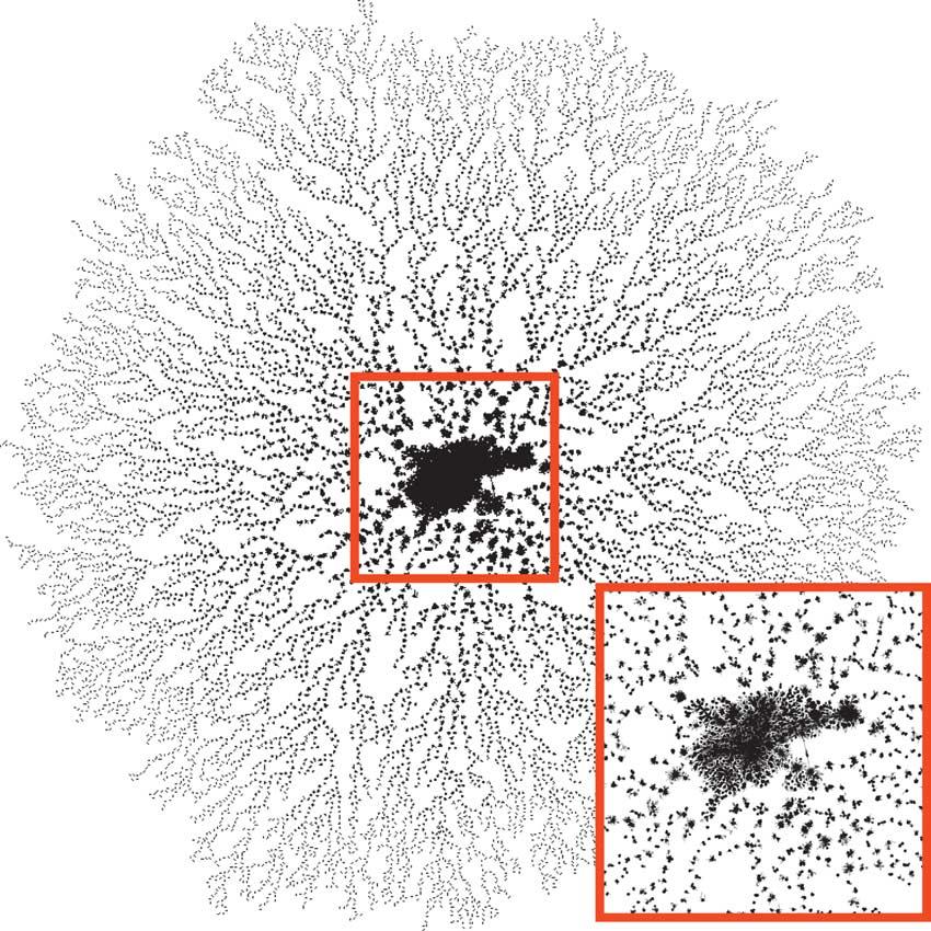182 Visualizing Large Biological Networks Figure 2.