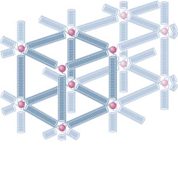 Elasticity Metallic solids consist of a large number of atoms positioned on a regular three-dimensional lattice as shown in the figure.
